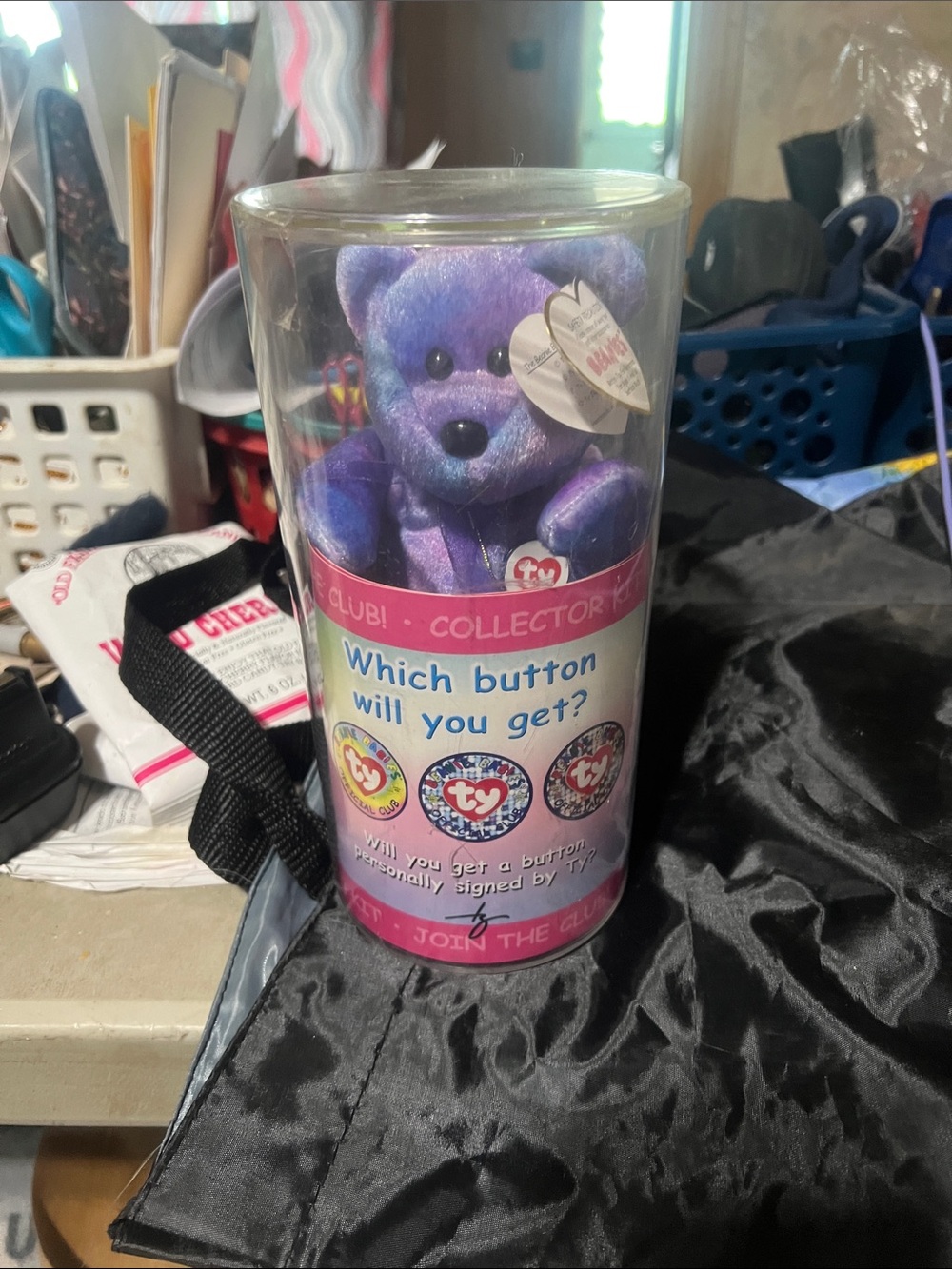 Collectible Ty Purple Beanie Baby Bear in Collector Tube